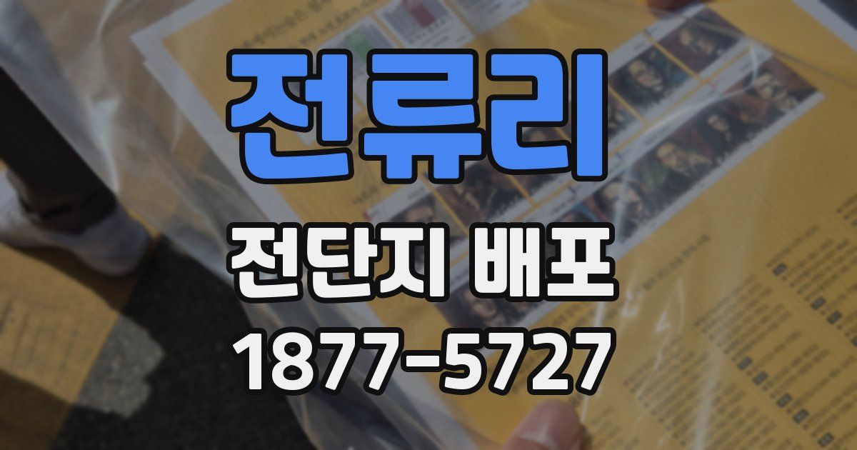 전류리 전단지 배포