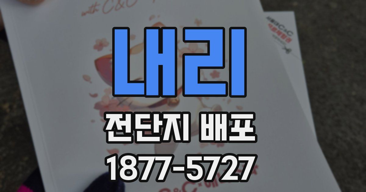 내리 전단지 배포