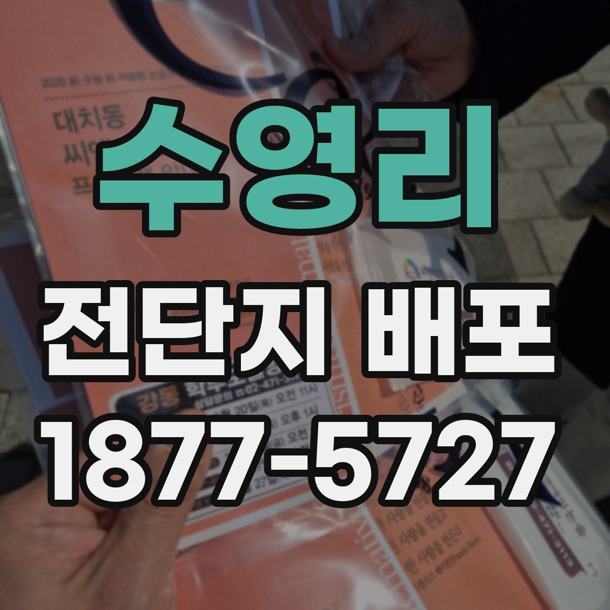 수영리 전단지 배포