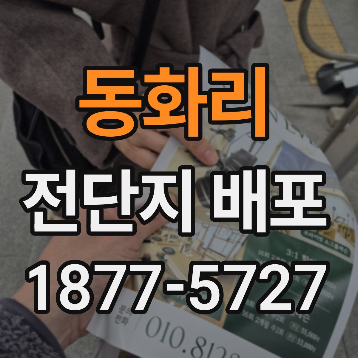 동화리 전단지 배포