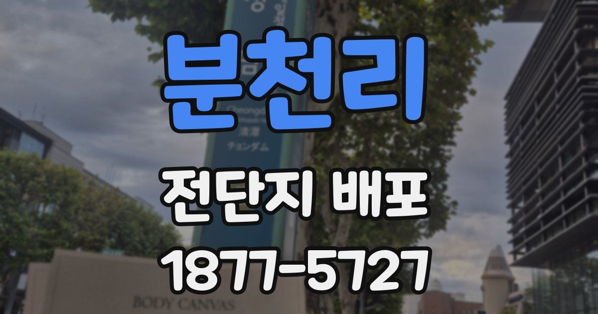 분천리 전단지 배포