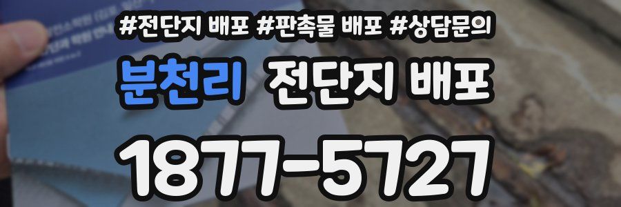 분천리 전단지 배포