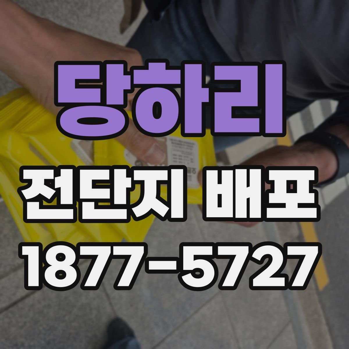 당하리 전단지 배포