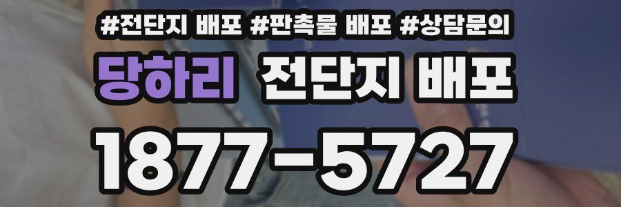 당하리 전단지 배포