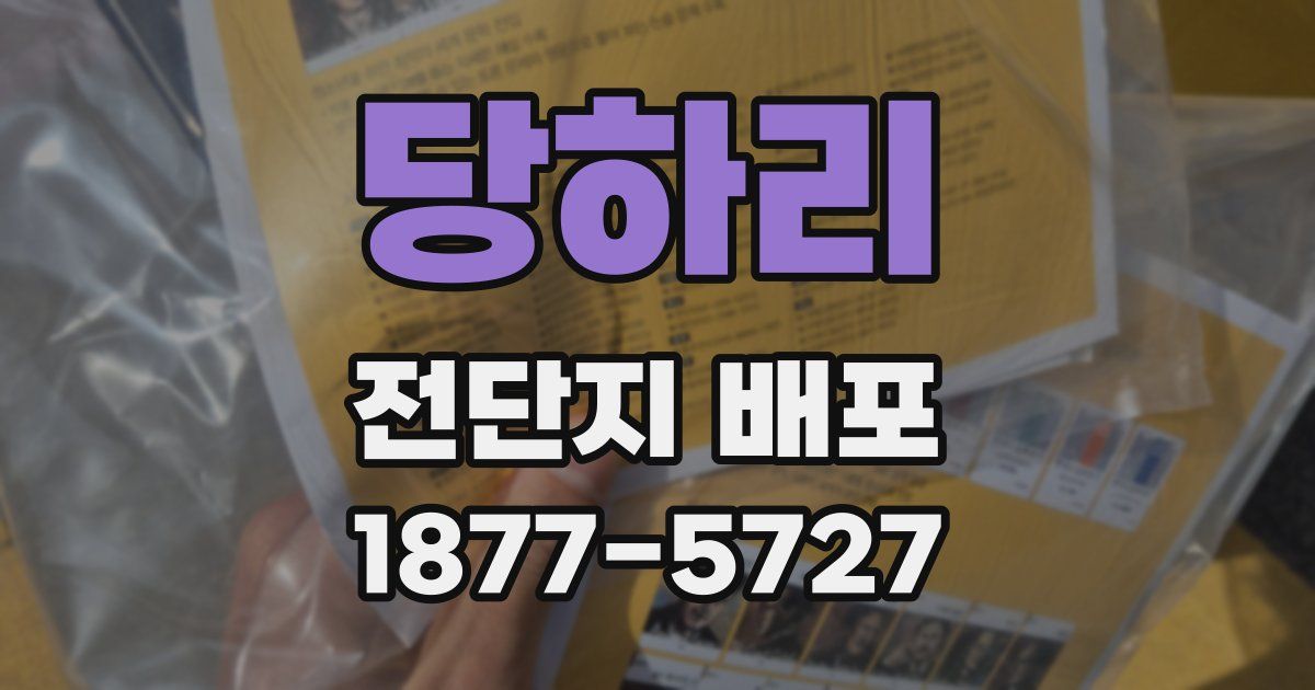 당하리 전단지 배포