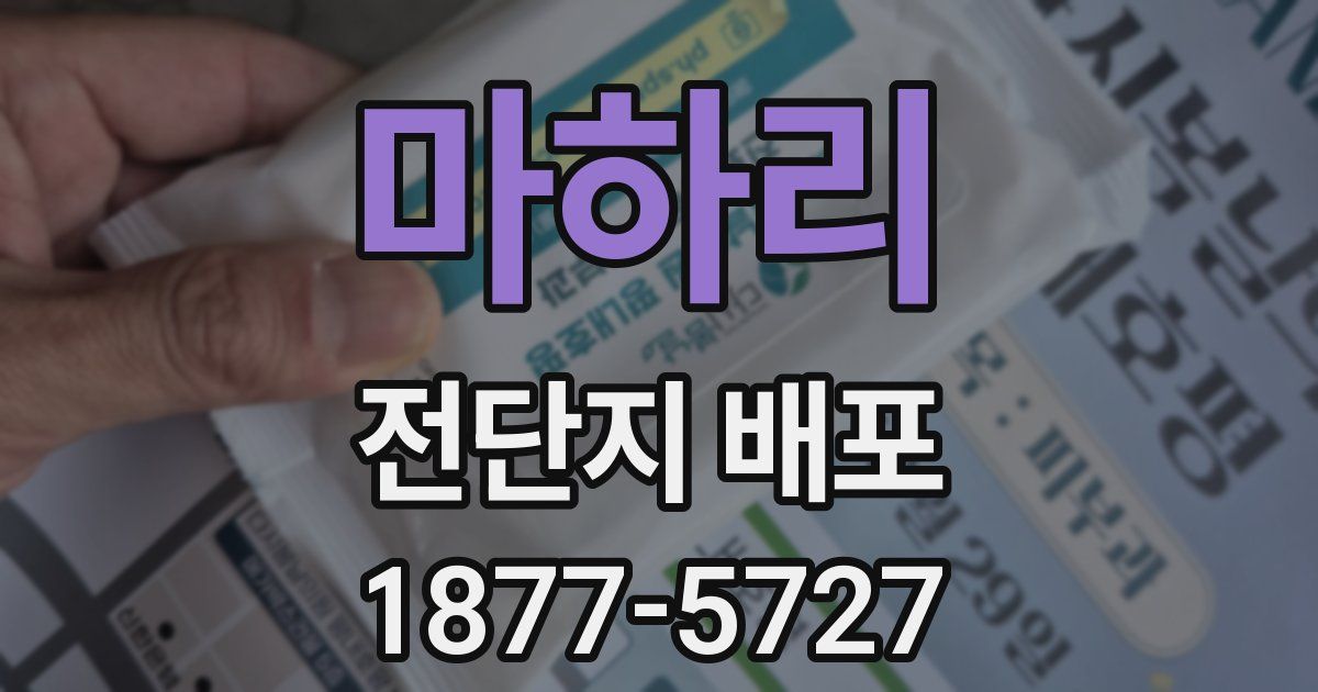 마하리 전단지 배포