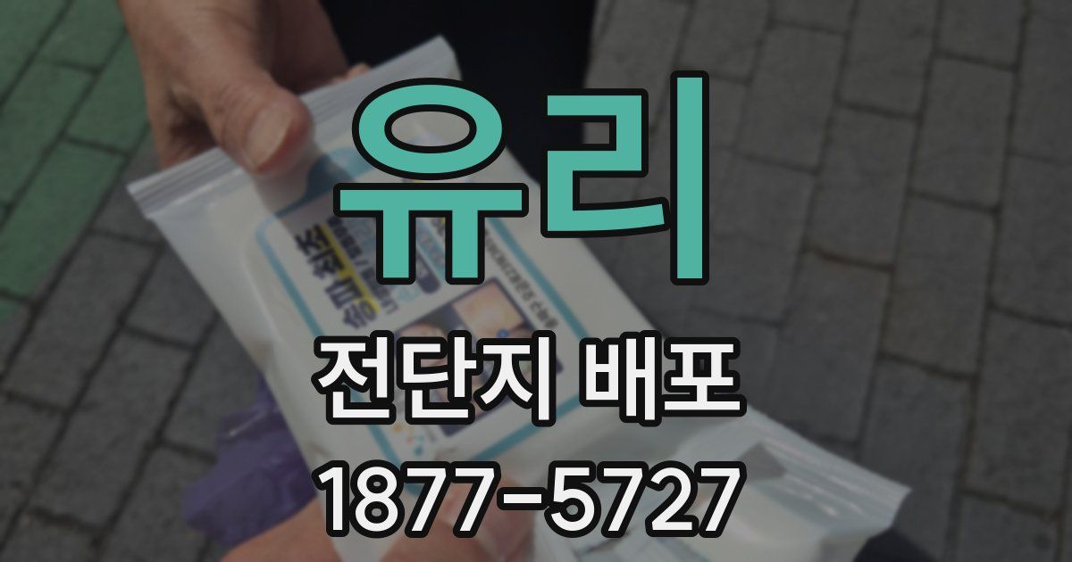 유리 전단지 배포