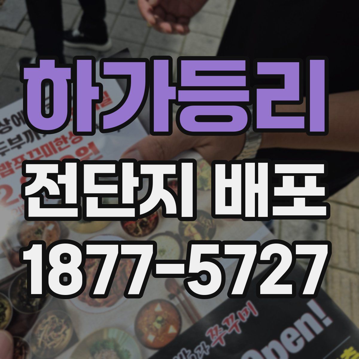 하가등리 전단지 배포