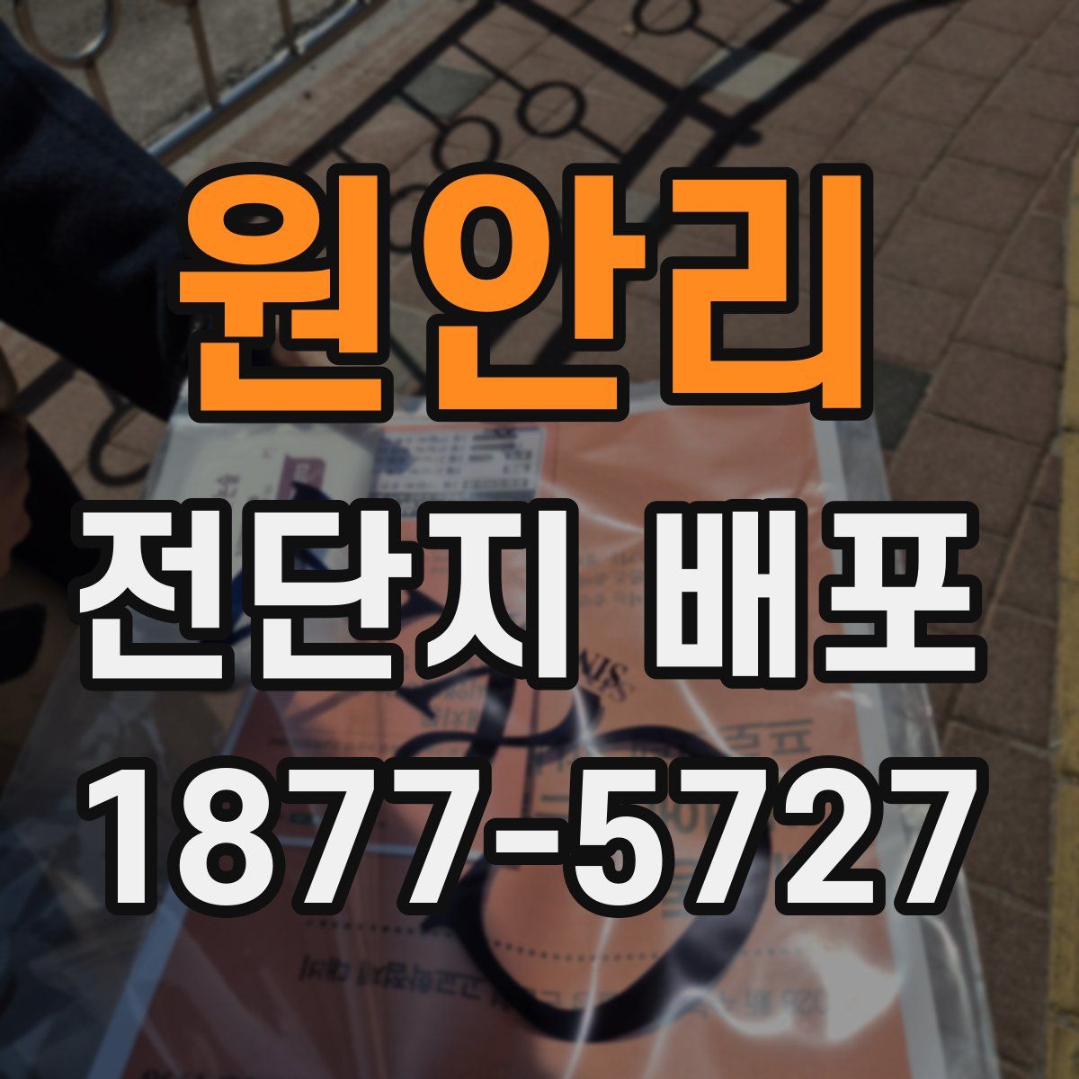 원안리 전단지 배포