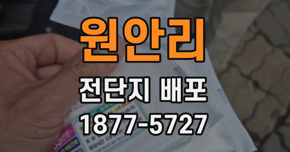 원안리 전단지 배포
