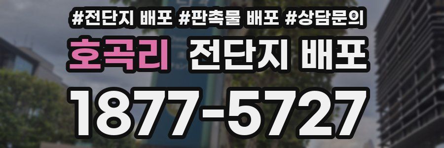 호곡리 전단지 배포