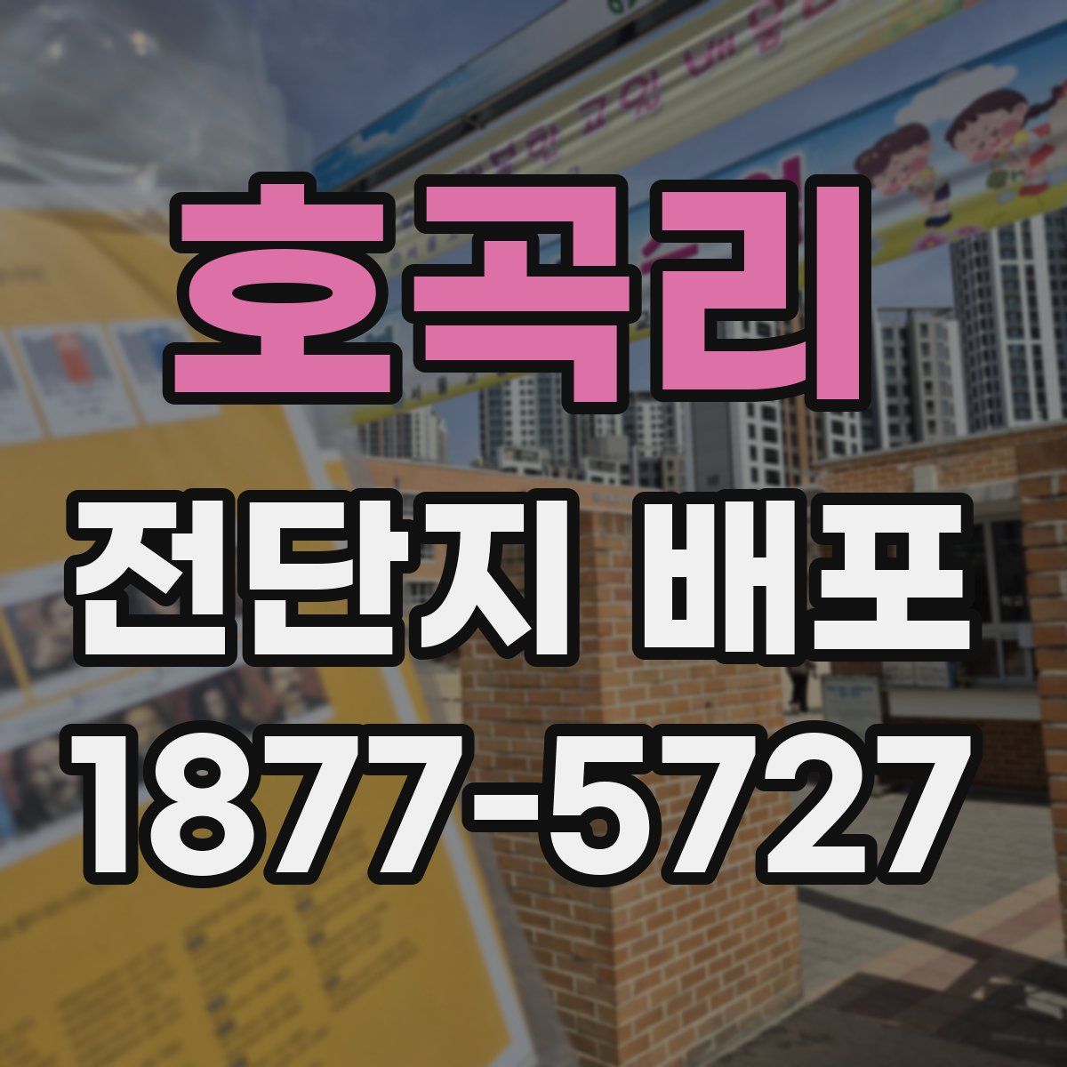 호곡리 전단지 배포