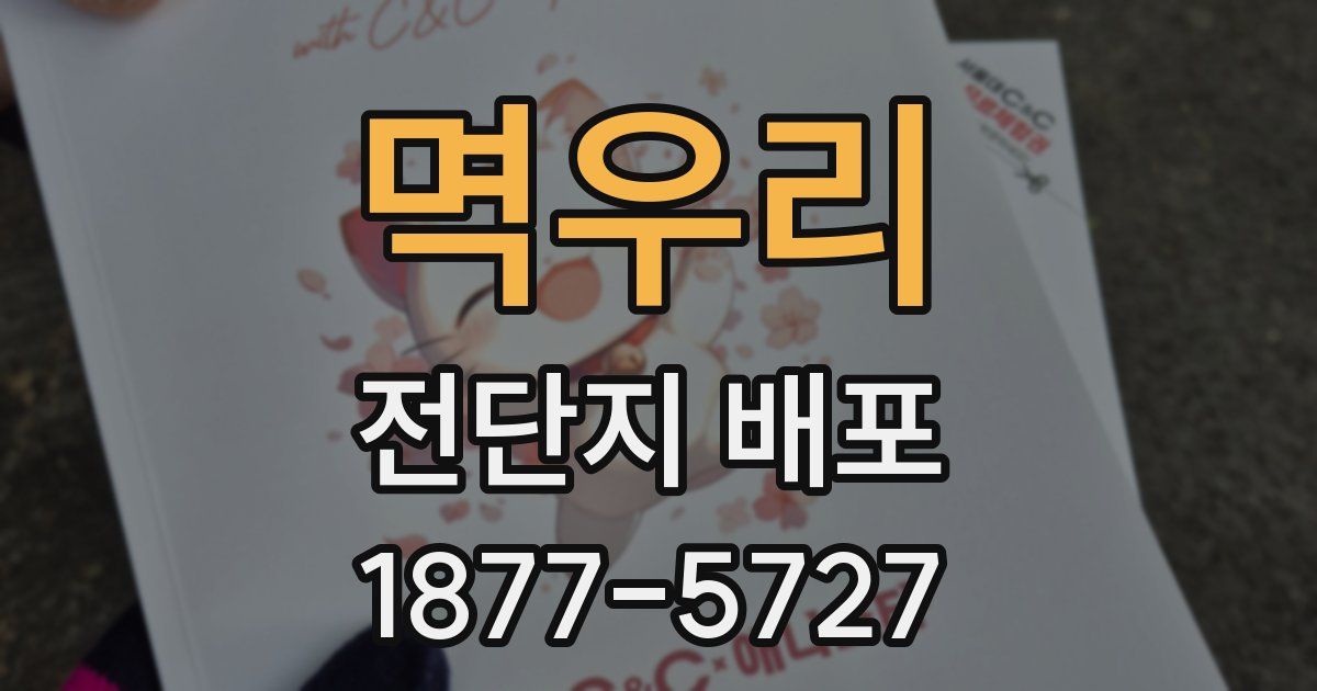 멱우리 전단지 배포