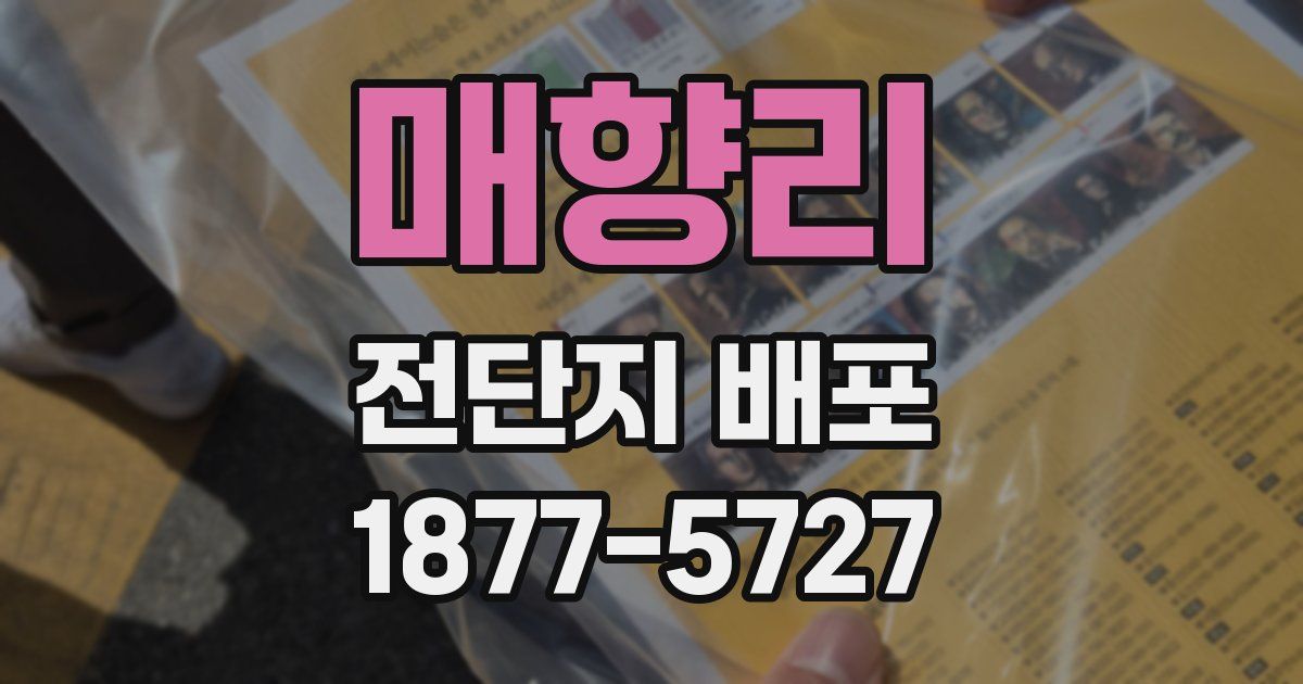 매향리 전단지 배포