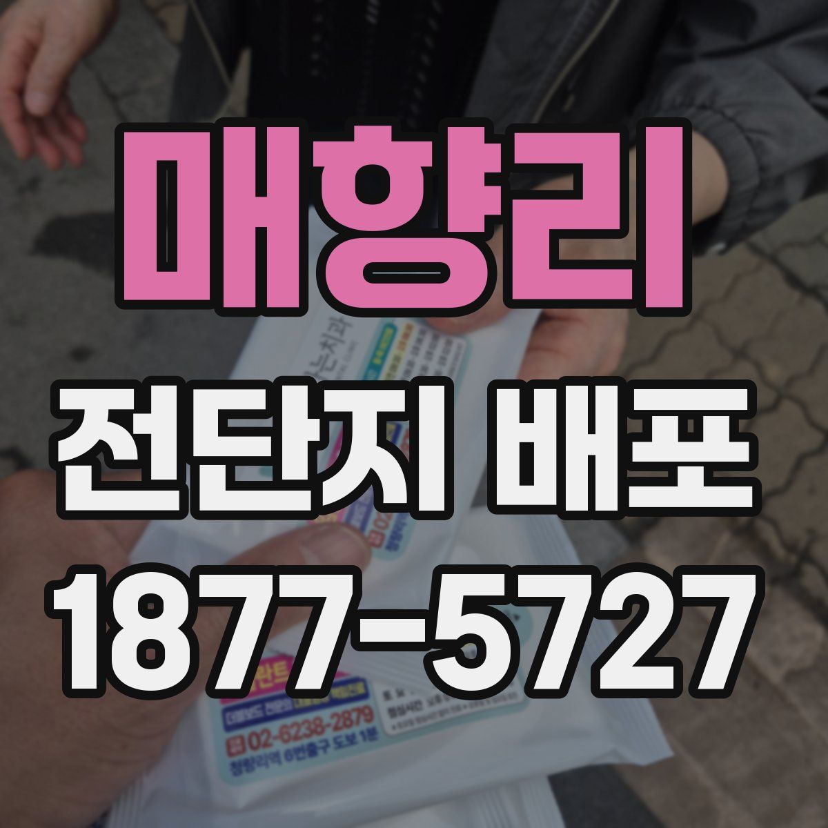 매향리 전단지 배포