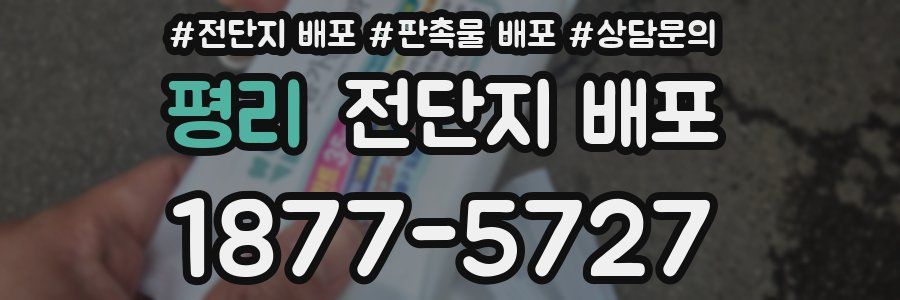 평리 전단지 배포