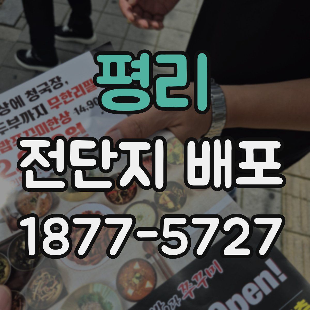평리 전단지 배포