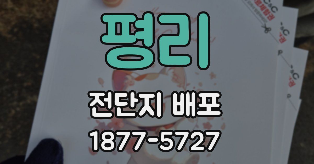 평리 전단지 배포