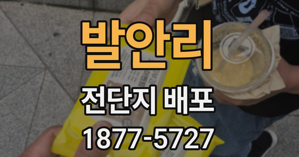 발안리 전단지 배포