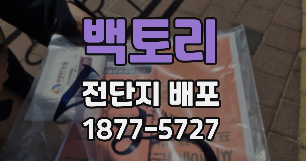 백토리 전단지 배포