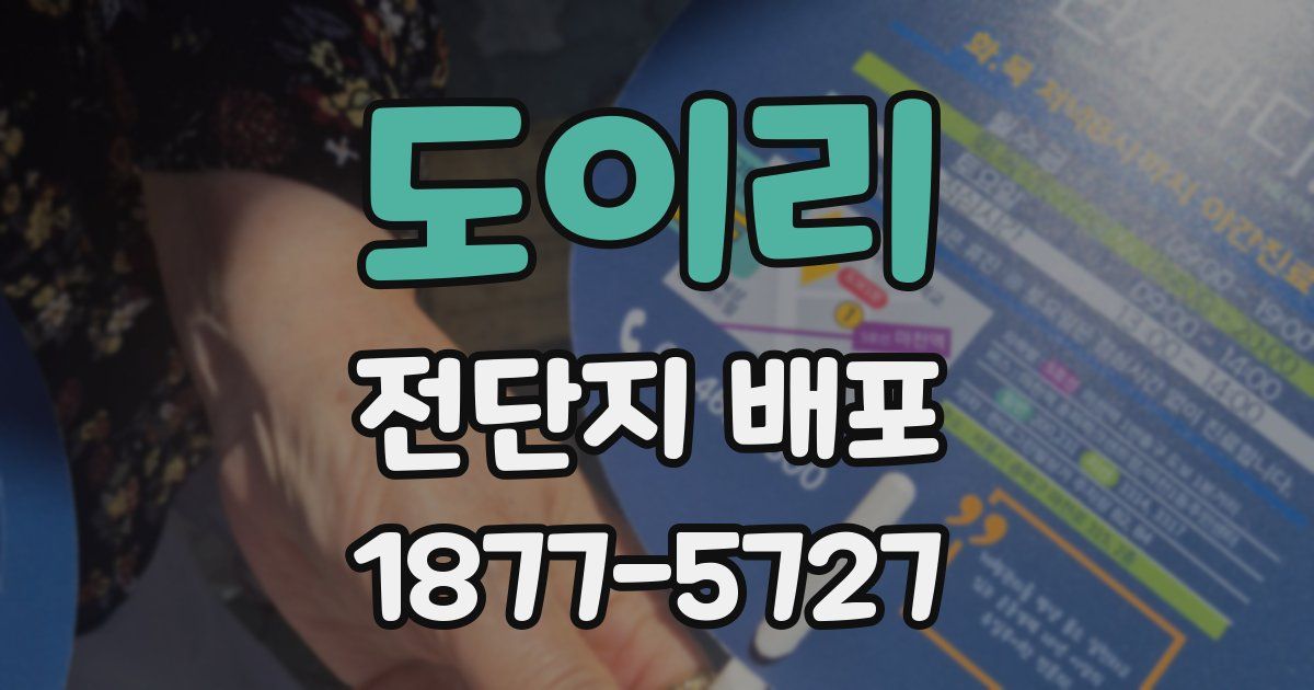 도이리 전단지 배포