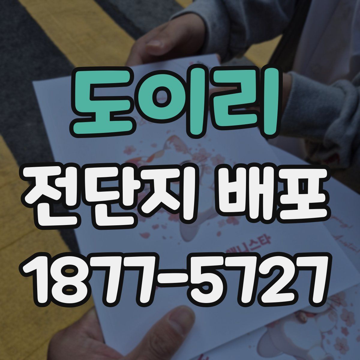 도이리 전단지 배포