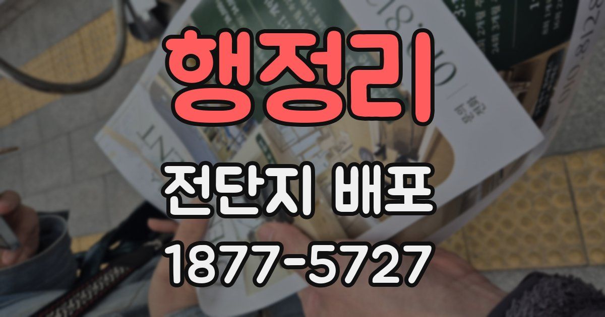 행정리 전단지 배포