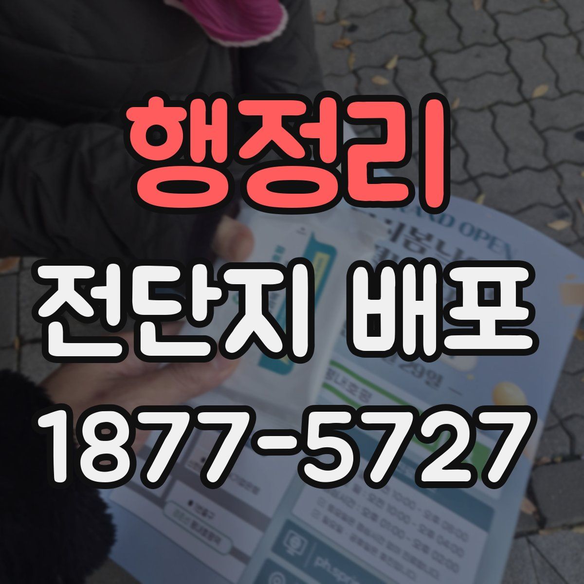 행정리 전단지 배포