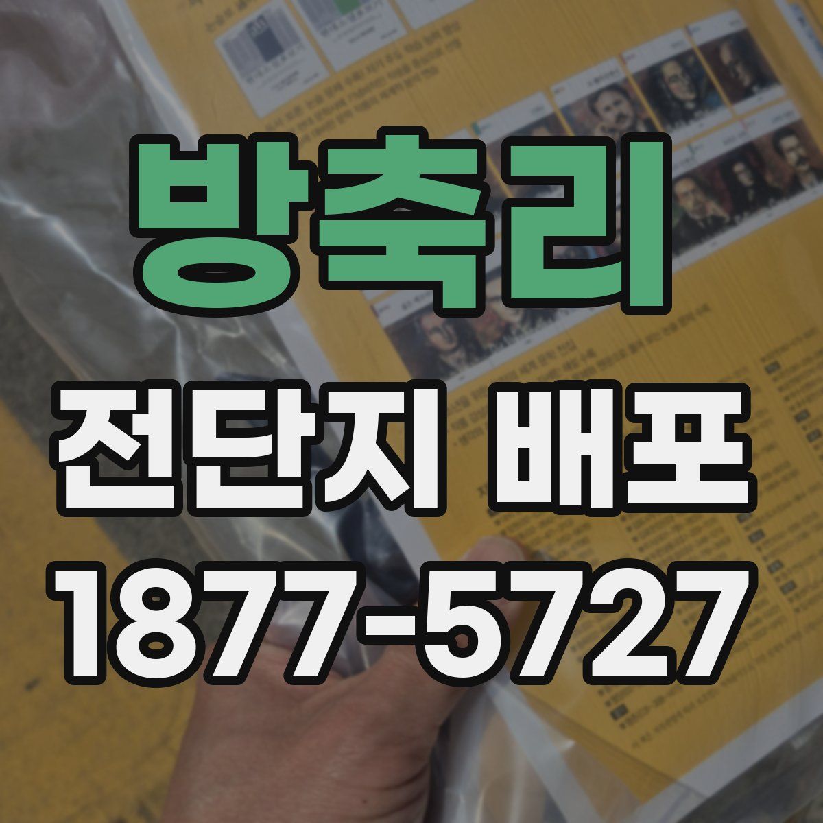 방축리 전단지 배포