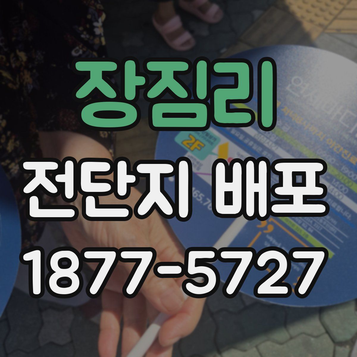 장짐리 전단지 배포