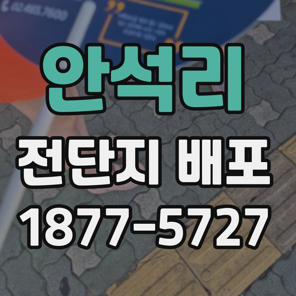 안석리 전단지 배포