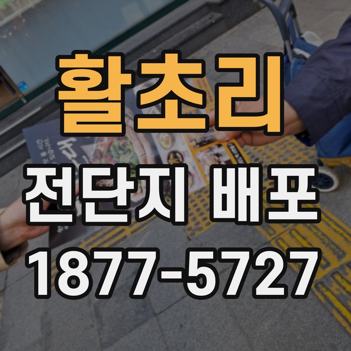 활초리 전단지 배포