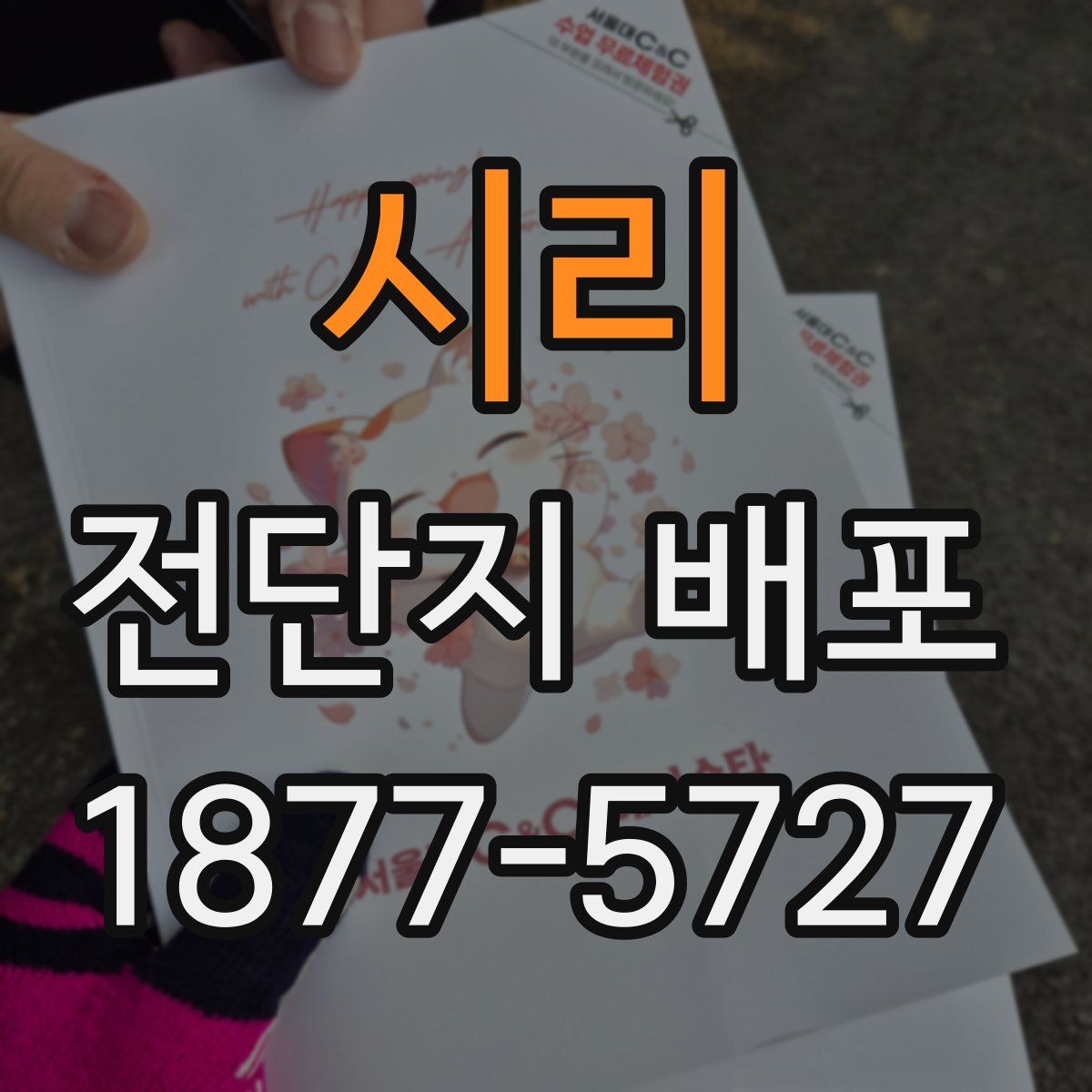 시리 전단지 배포