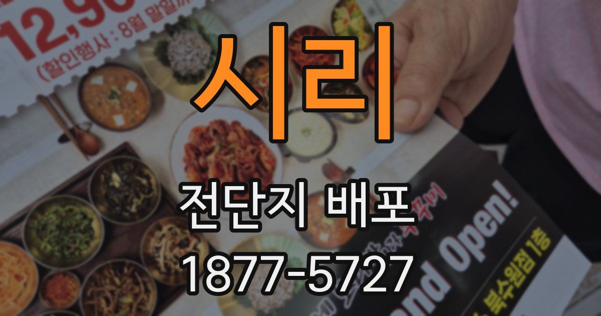시리 전단지 배포