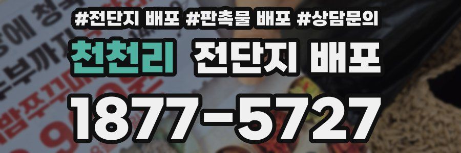 천천리 전단지 배포