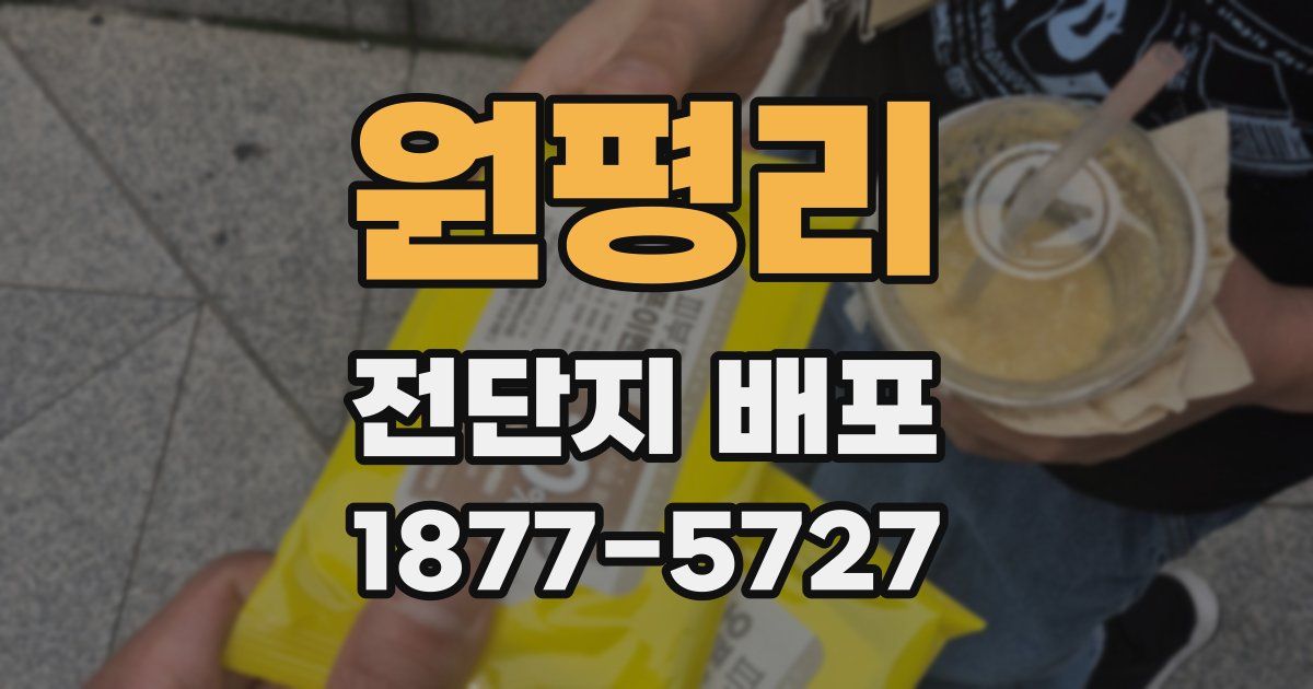 원평리 전단지 배포