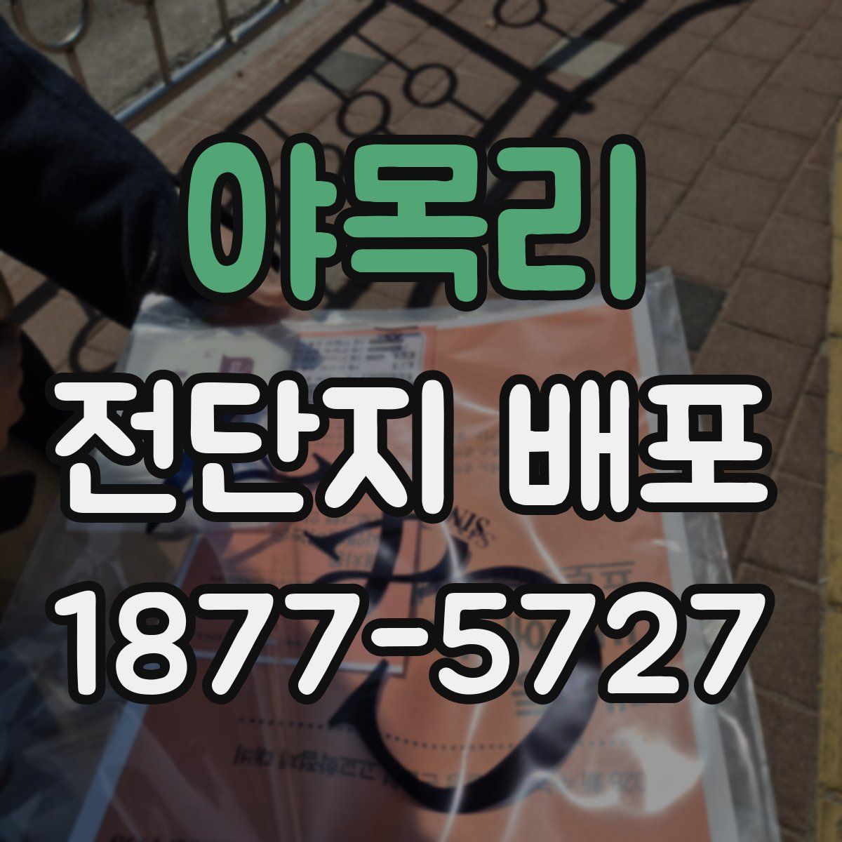 야목리 전단지 배포