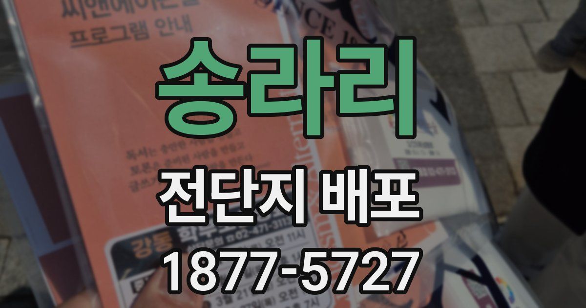 송라리 전단지 배포