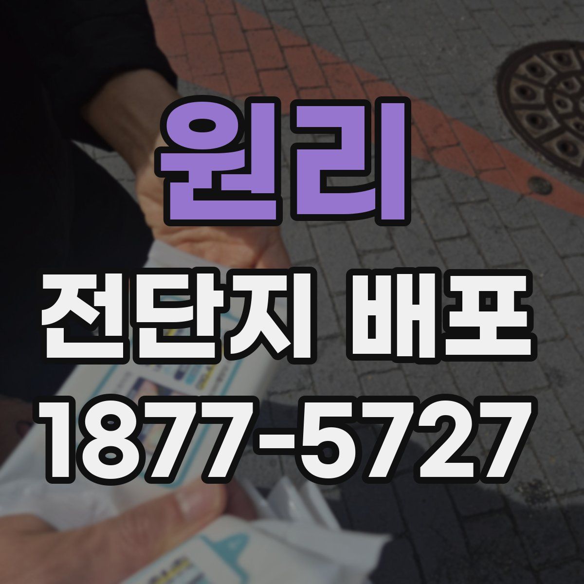 원리 전단지 배포