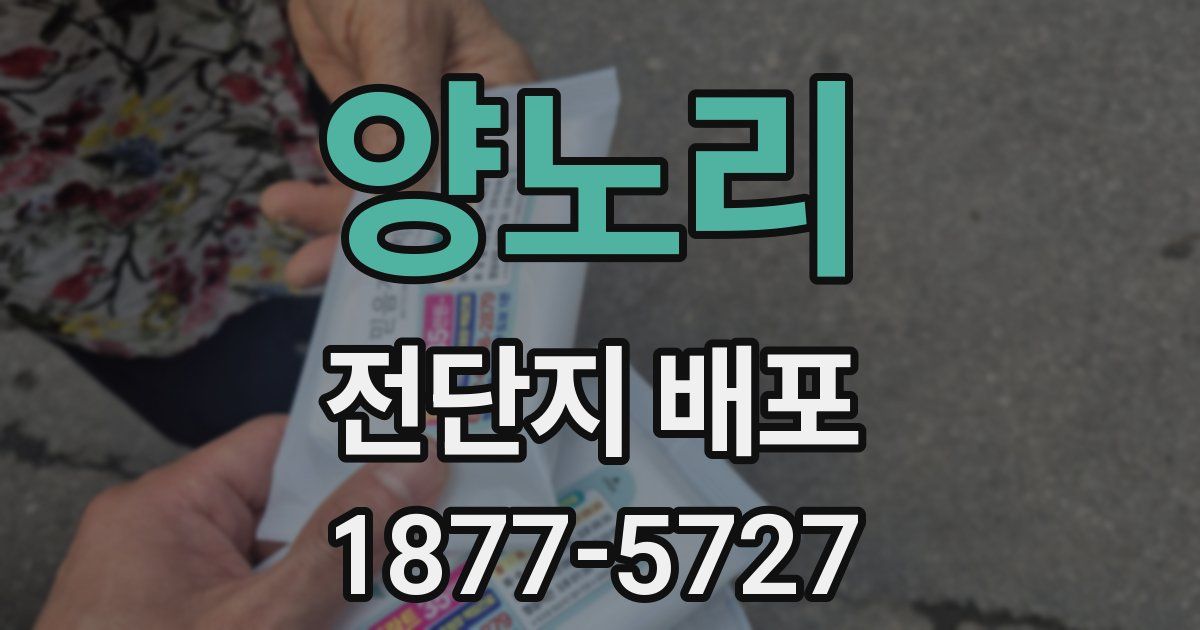 양노리 전단지 배포