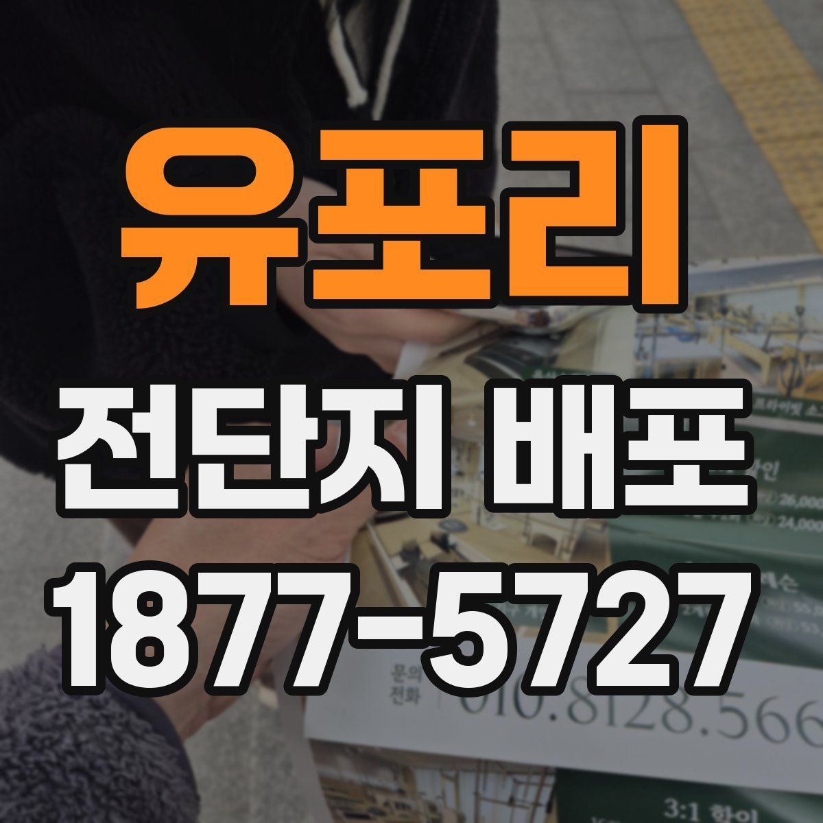 유포리 전단지 배포