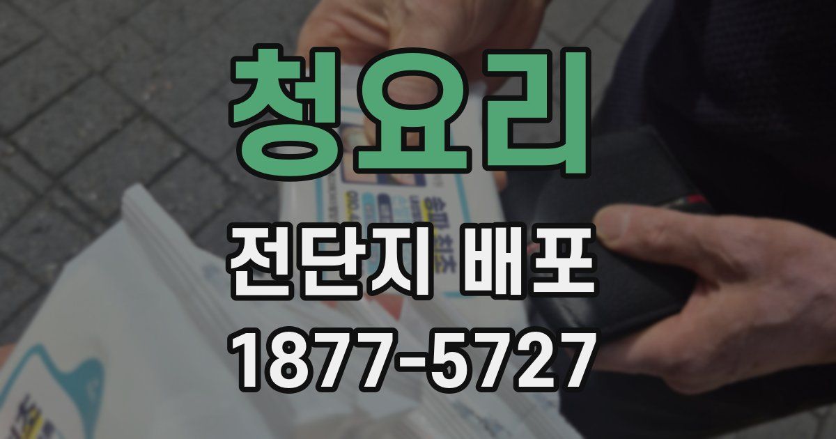 청요리 전단지 배포