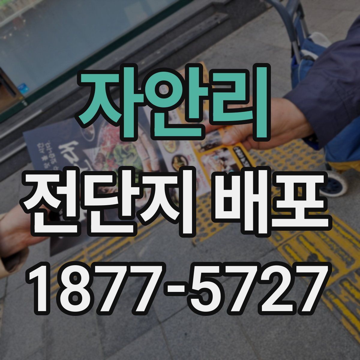 자안리 전단지 배포
