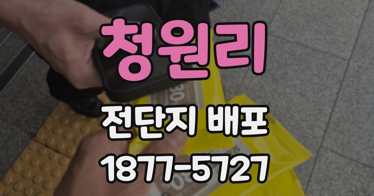 청원리 전단지 배포