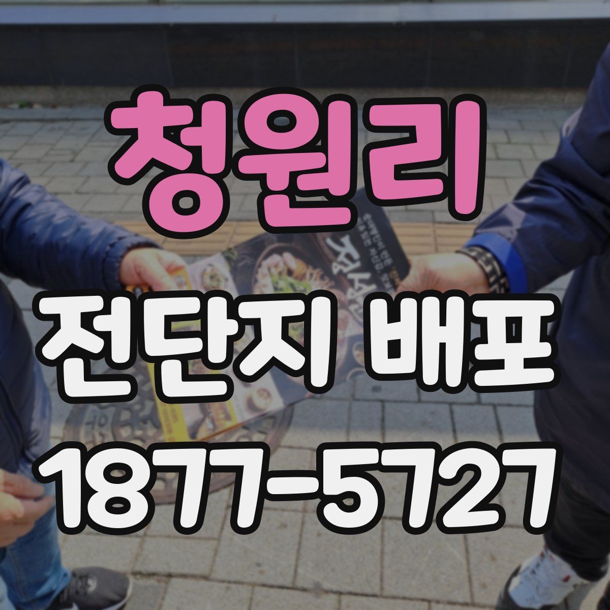 청원리 전단지 배포