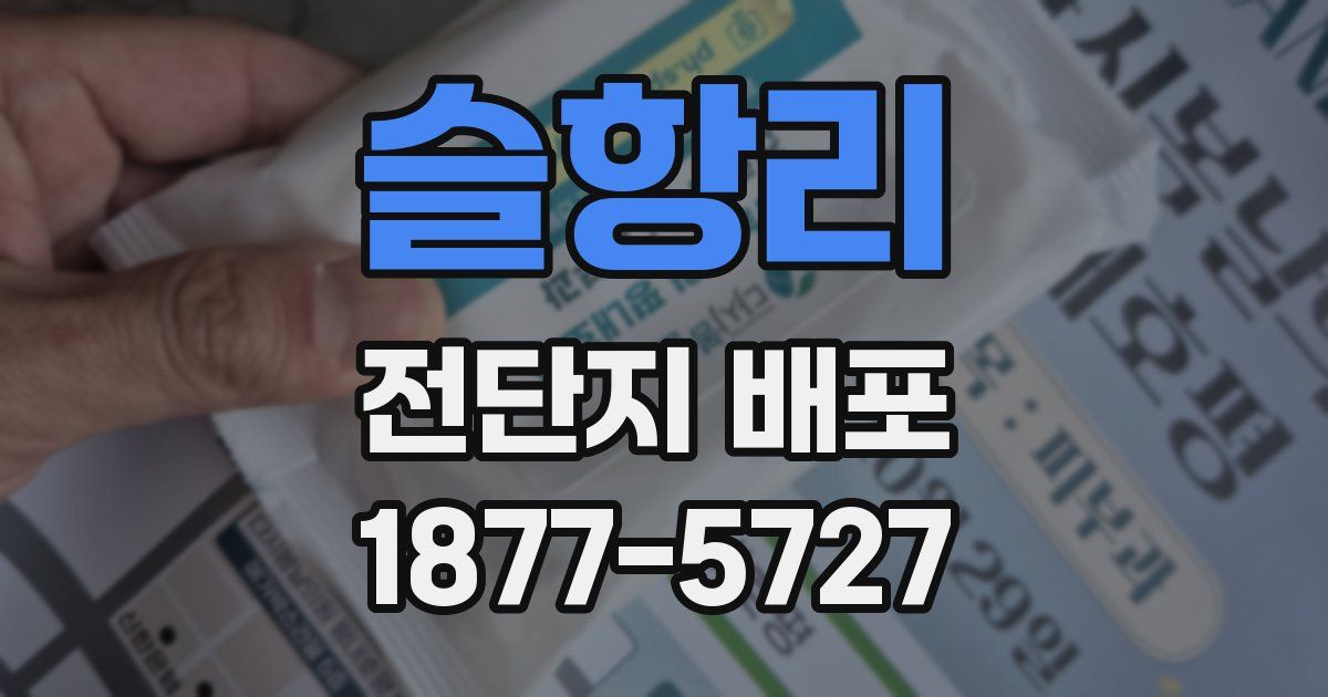 슬항리 전단지 배포