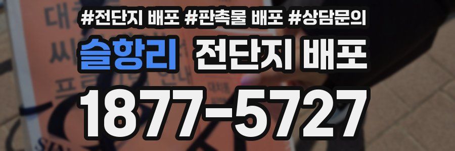 슬항리 전단지 배포