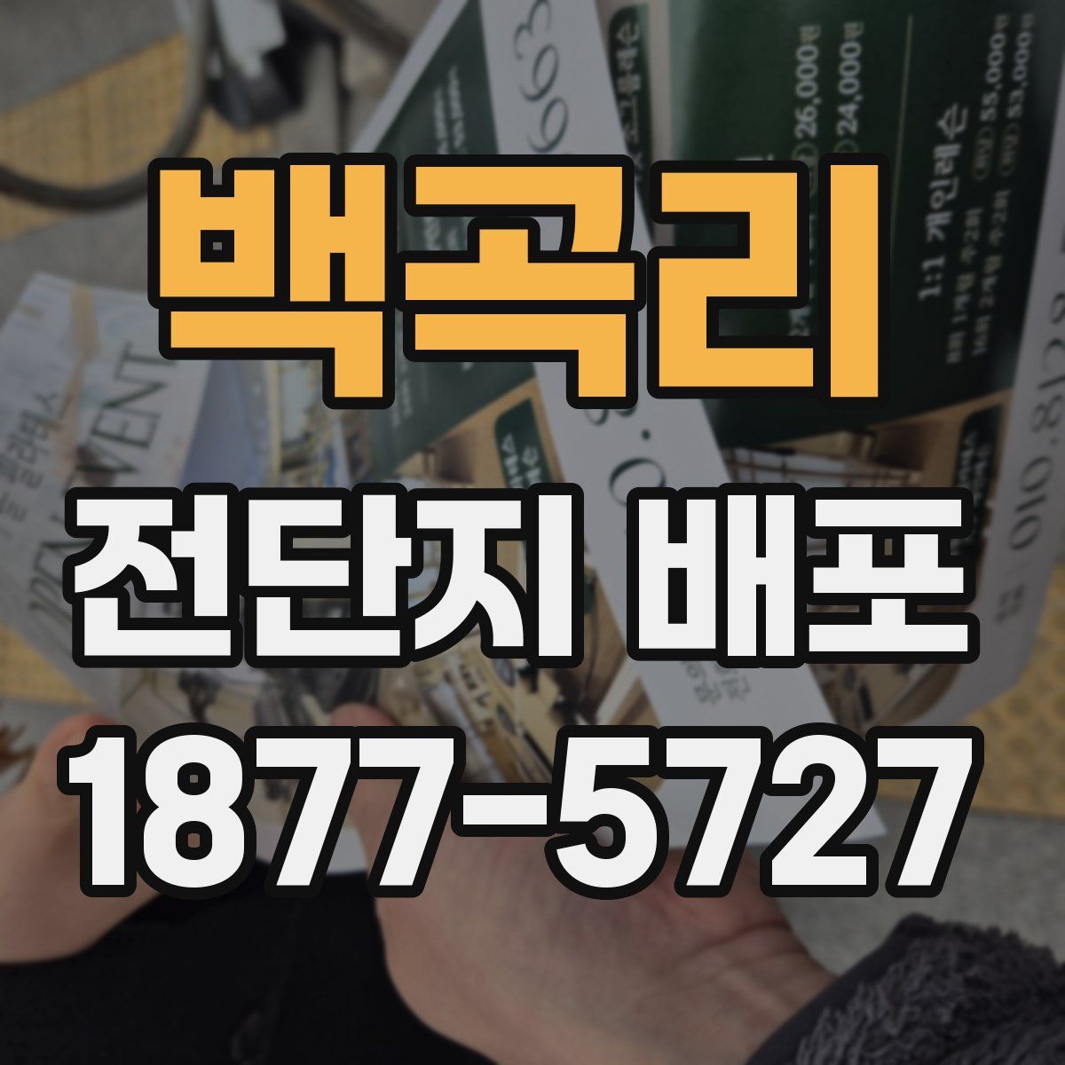 백곡리 전단지 배포
