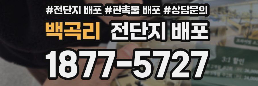 백곡리 전단지 배포