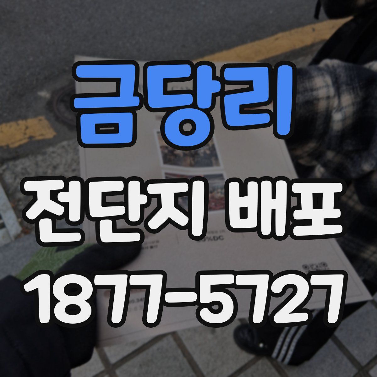금당리 전단지 배포